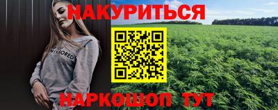 крисы Кулебаки