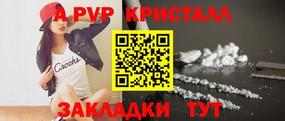 крисы Кулебаки