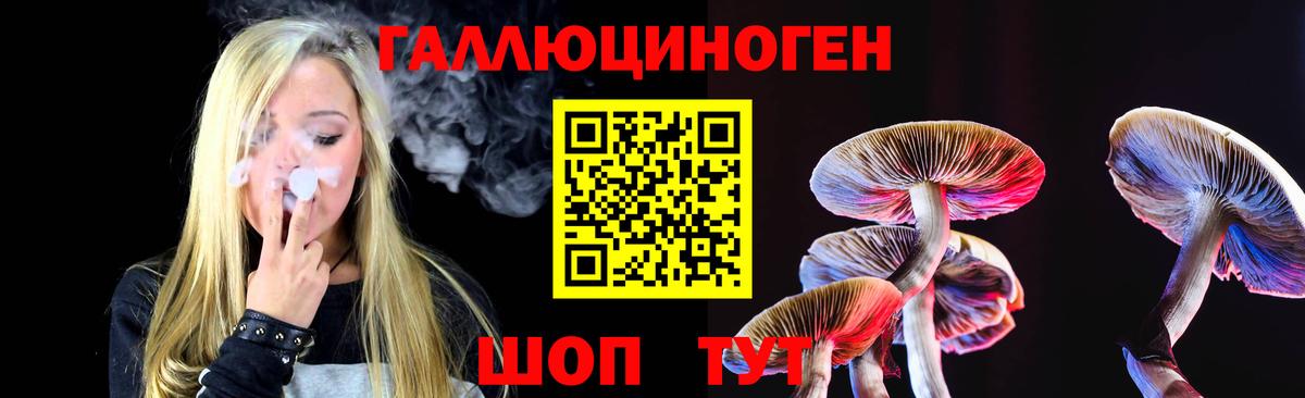 Калуга  Псилоцибиновые грибы Cubensis  Вход с VPN 